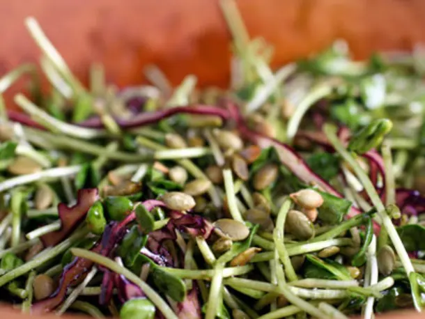 Mexican Sprout Slaw
