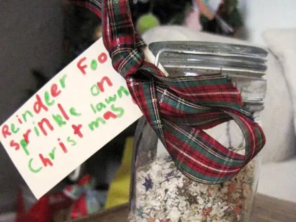 Reindeer Food