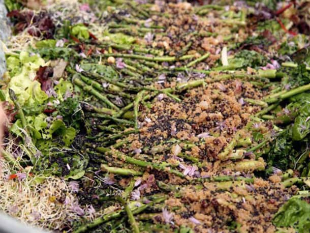Baby Greens Salad with Asparagus, Sweet Amaranth & Green Garlic Dressing