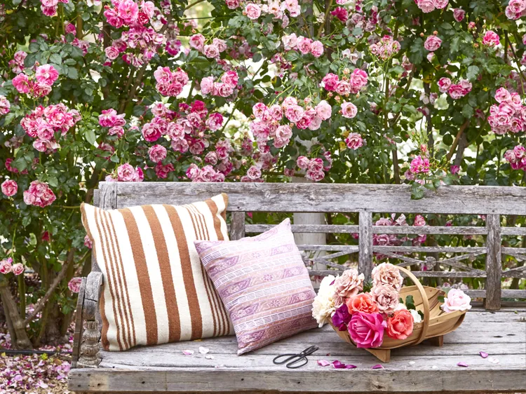 8 Tips for Getting More Blooms from Your Roses All Season Long