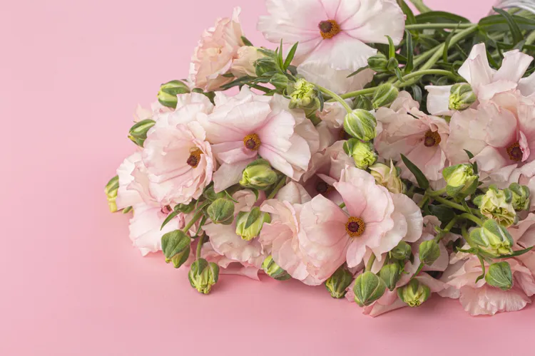 Brighten Your Home for Spring with Trader Joe’s Under-$10 Ranunculus Bunches
