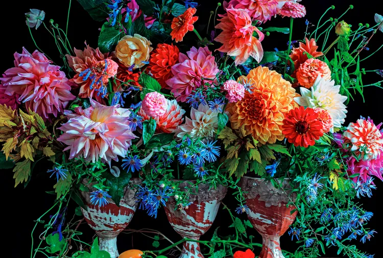 8 Pro-Approved Flowers to Grow for Gorgeous Arrangements