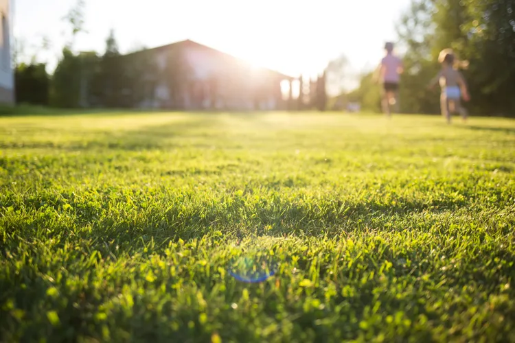 9 Ways to Protect Your Lawn During a Heat Wave, According to Experts
