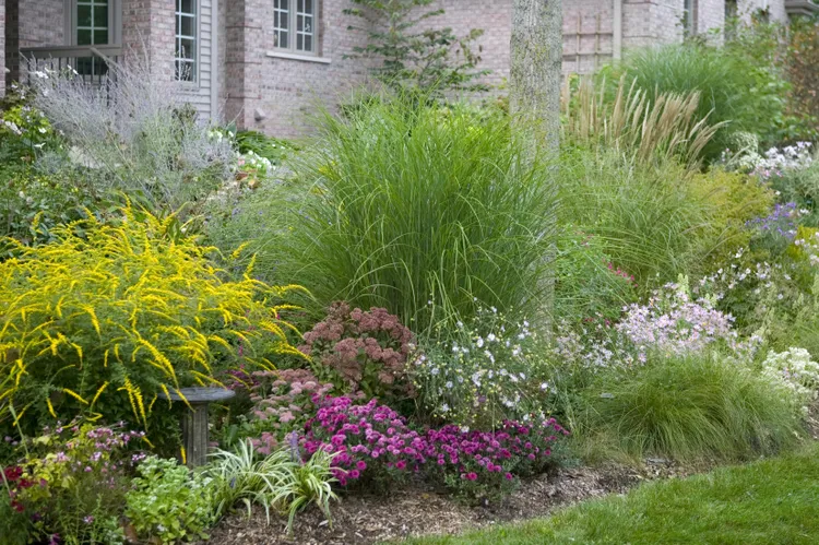 Why Your Garden Looks Tired in August, Plus 4 Ways to Refresh It