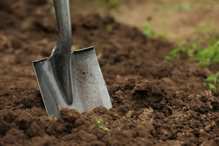6 Common Gardening Mistakes That Can Ruin Your Soil—and How to Fix Them