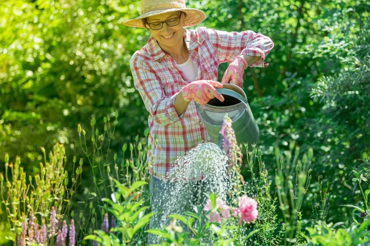 10 Gardening Mistakes That Can Damage Your Plants During a Heat Wave