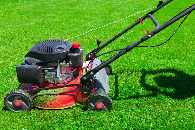 4 Simple Ways to Stop Grass Clippings from Clogging Your Mower Deck