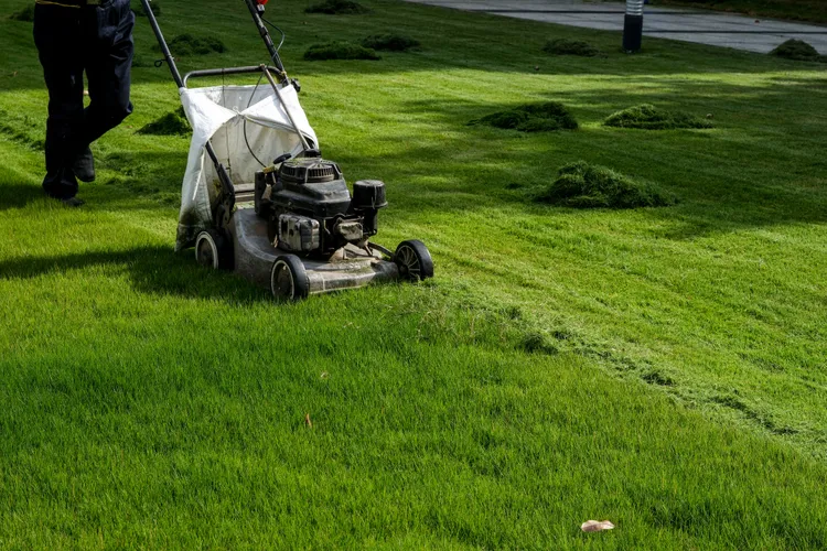 Should You Tip Your Lawn Care Pro? Experts Explain the Proper Etiquette