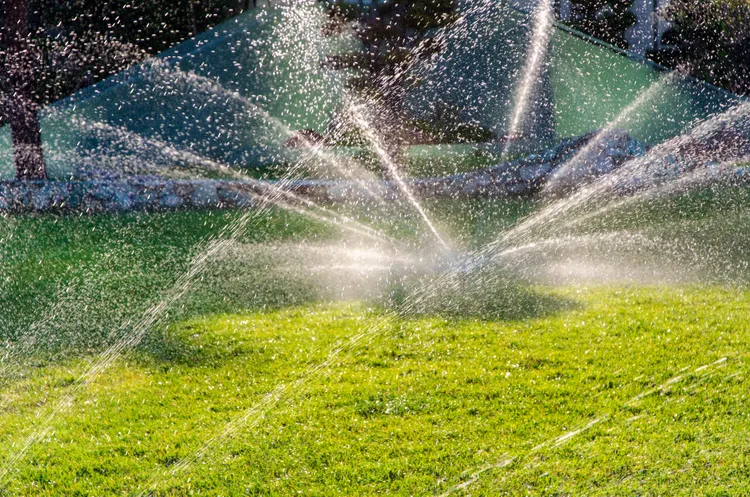 An HGTV Expert Says This Is the Landscaping Step You Should Tackle Before Planting a Single Thing