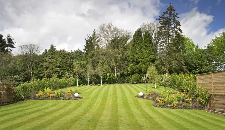 How to Create Perfect Lawn Stripes Every Time with These Simple Mowing Techniques