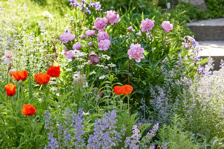 May Garden Checklist: What to Do Right Now for a Thriving Summer Garden