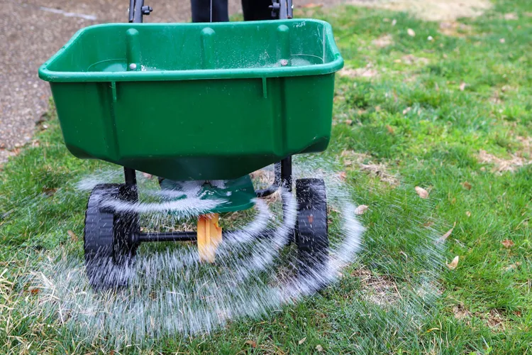 What You Should Know About Weed-and-Feed Lawn Products Before You Buy