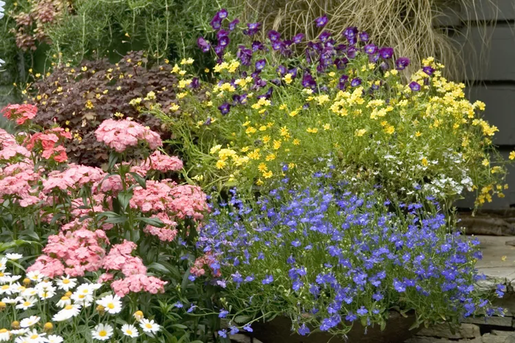 What to Do in Your Garden in April for More Blooms and Better Harvests