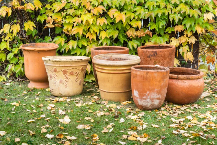 Should You Empty Outdoor Planters Before Winter? Here's What Smart Gardeners Do
