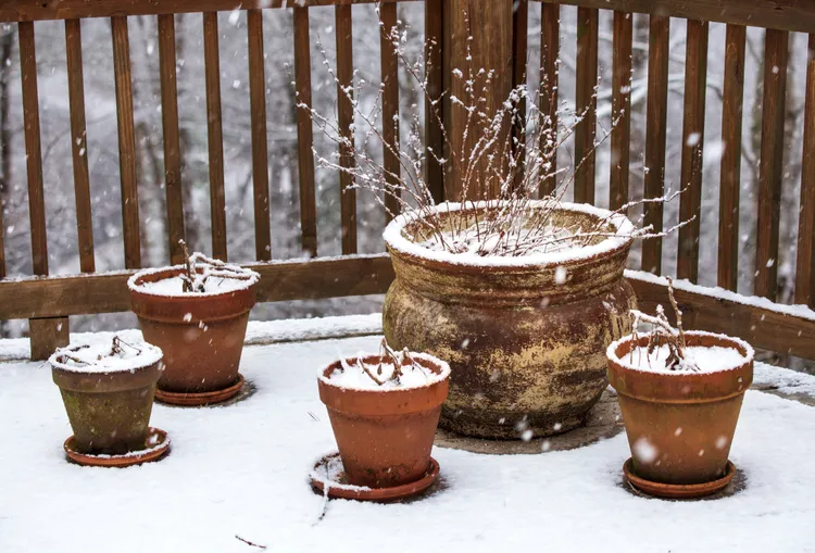 6 Easy Ways to Prevent Outdoor Containers from Cracking in Winter