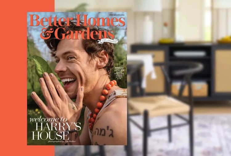 I'm a Harry Styles Superfan, and These Are the Home Decor Pieces I'd Use to Re-Create His Iconic Eras