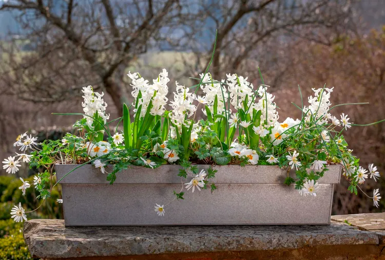 Try This Simple Planting Trick Right Now for Non-Stop Flowers Next Spring
