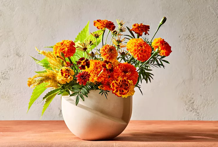 Tired of Mums? Try These 15 Fall Container Plants Instead