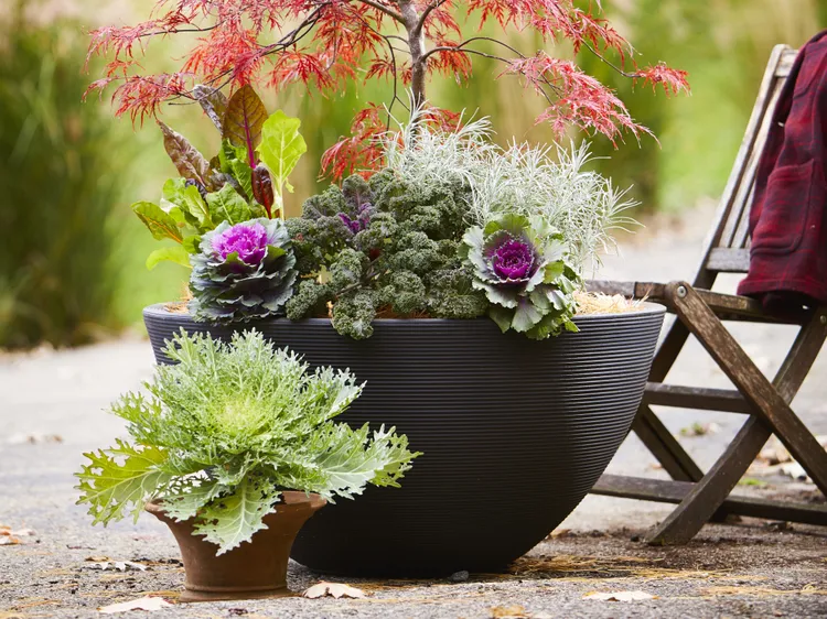 7 Easy Ways to Give Your Garden Planters a Fall Glow-Up
