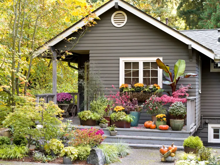 Don’t Let the Heat Kill Your Container Plants—Here’s How Often You Need to Be Watering Them