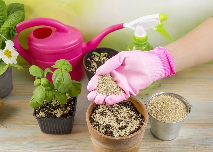What Is Vermiculite, and Should You Add It to Your Potting Soil?