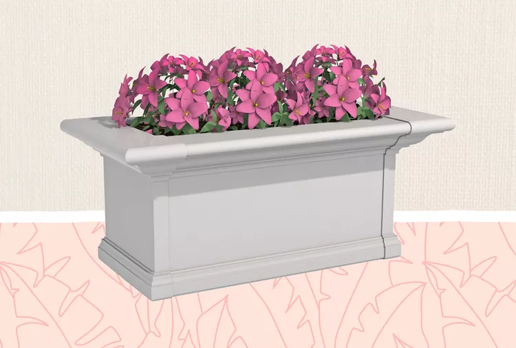 The 7 Best Window Boxes to Elevate Your Home's Curb Appeal