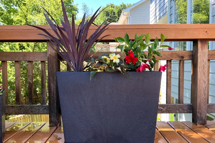 The 9 Best Self-Watering Planters of 2026, Tested by BHG