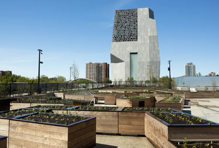 This Rooftop Garden at the Obama Presidential Center Has a Bigger Mission Than Growing Produce