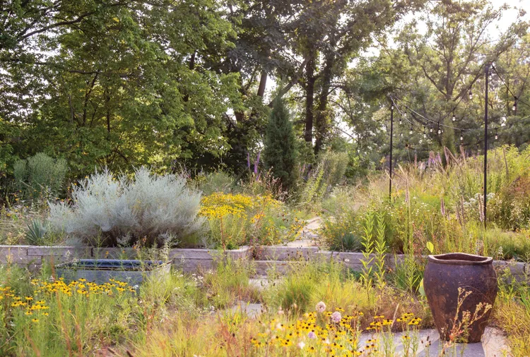 This Stunning Prairie-Inspired Garden Is Designed to Thrive in a Changing Climate