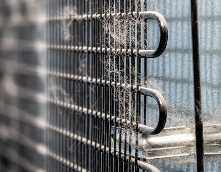 Yes, You Need to Clean Your Refrigerator Coils (and It Could Lower Your Energy Bill!)