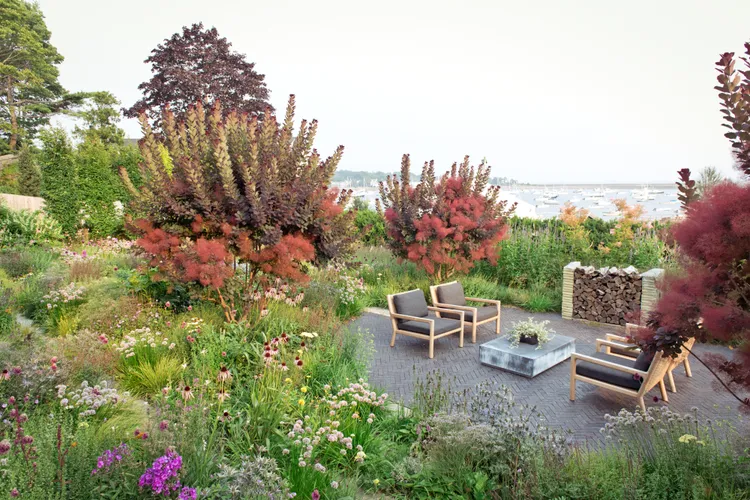 8 Garden Trends Designers Say to Skip in 2026 for Healthier Outdoor Spaces