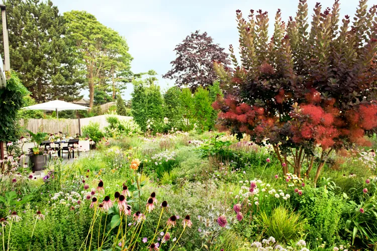 9 Easy Ways to Design a Garden That Looks Gorgeous in Any Season