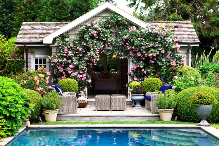 7 Fragrant Flowering Vines That Will Make Your Patio Smell Amazing All Spring