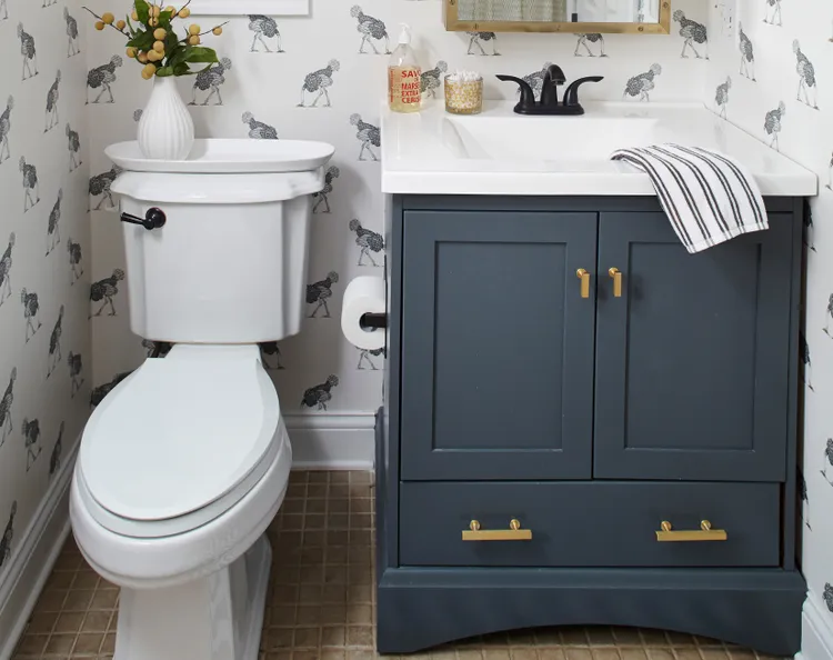 Should You Leave Your Toilet Lid Up or Down?