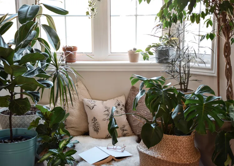 What Is Immersive Reading? How to Design a Cozy Space That Keeps You Hooked on Your Book