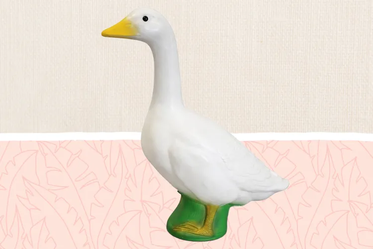 The Internet Is Obsessed With Porch Geese—and We Found the Best Outfits and Accessories, Starting at $18