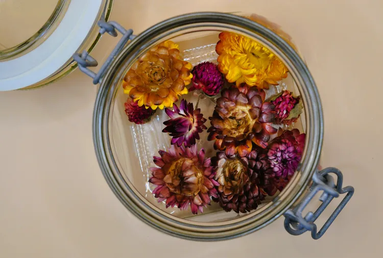 Manifest Spring with These Cozy Flower Lanterns