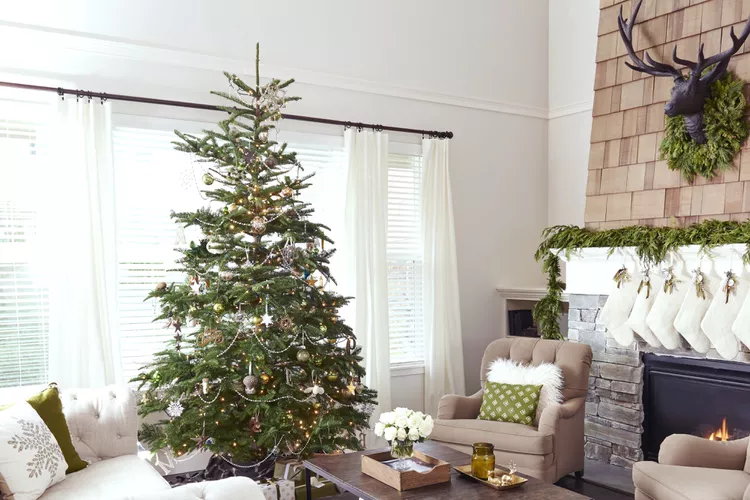 3 Spots You Should Never Put Your Christmas Tree in Your House
