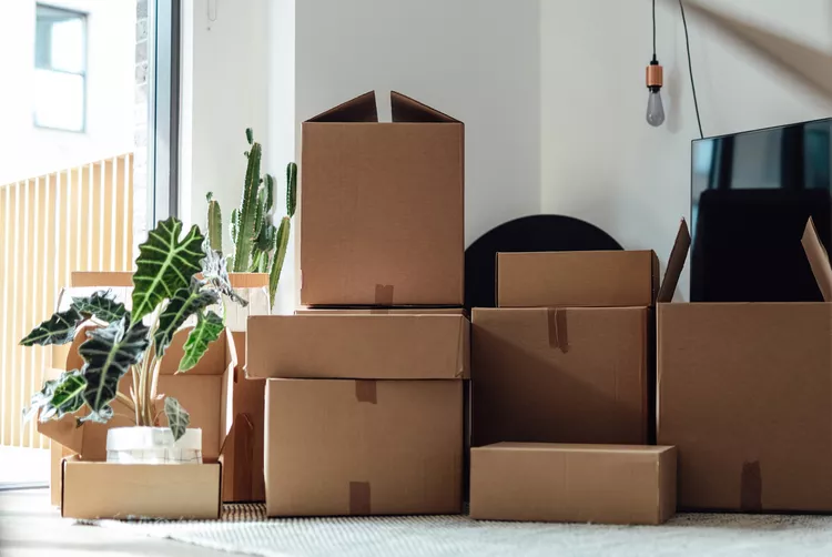 9 Things a Professional Organizer Says You Should Never Store in Cardboard Boxes