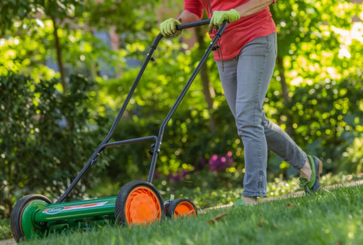 7 Simple Landscaping Changes That Make Lawn Mowing a Breeze