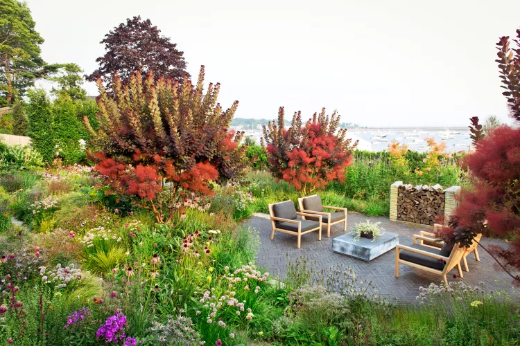 5 Landscaping Mistakes Homeowners Always Regret When Redesigning Their Yards