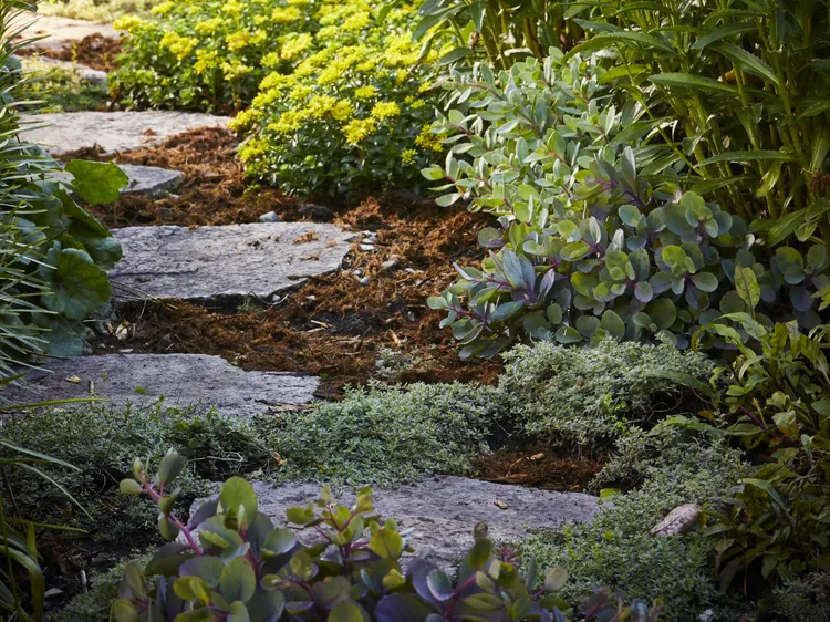10 Low-Cost DIY Garden Path Ideas to Boost Curb Appeal for Less