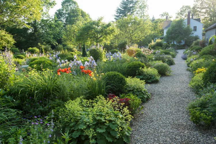 7 Common Gravel Mistakes That Could Ruin Your Garden—Plus What to Do Instead