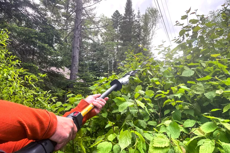 The 7 Best Hedge Trimmers to Keep Your Yard in Tip-Top Shape