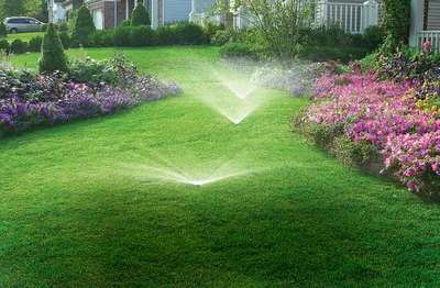 How Long to Water Grass—and How Often—for a Healthy Lawn