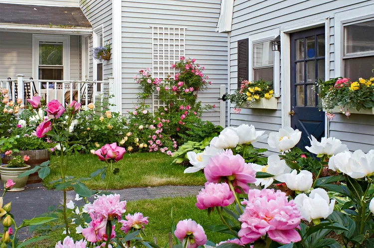 25 Budget Small Garden Ideas for a Gorgeous Yet Affordable Yard
