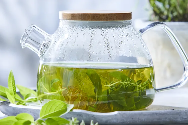 8 Easy Herbs to Grow for Flavorful Homemade Tea