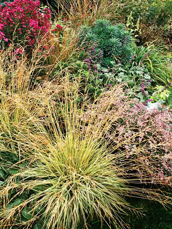 15 Top Native Plants of the Pacific Northwest
