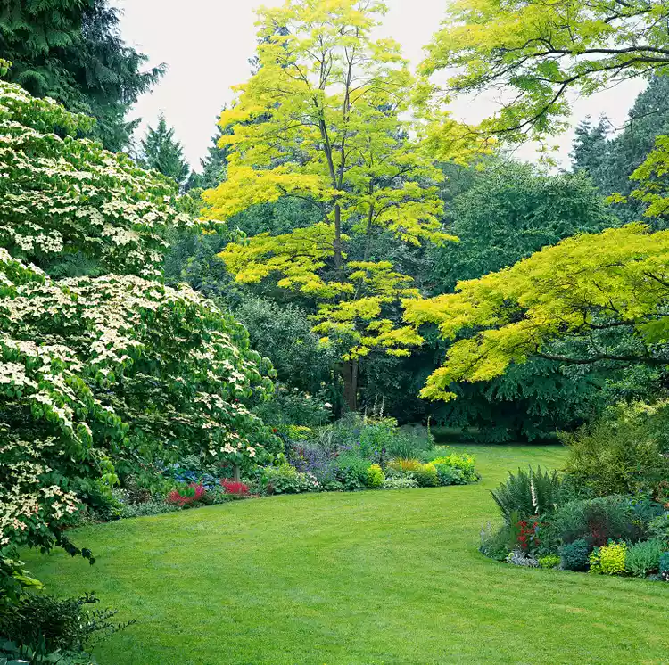 Your Seasonal Lawn-Care Schedule for the Pacific Northwest