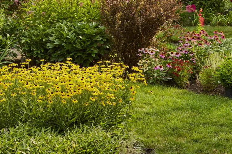 5 Expert Tips to Help Your Garden Thrive Through Heat Waves
